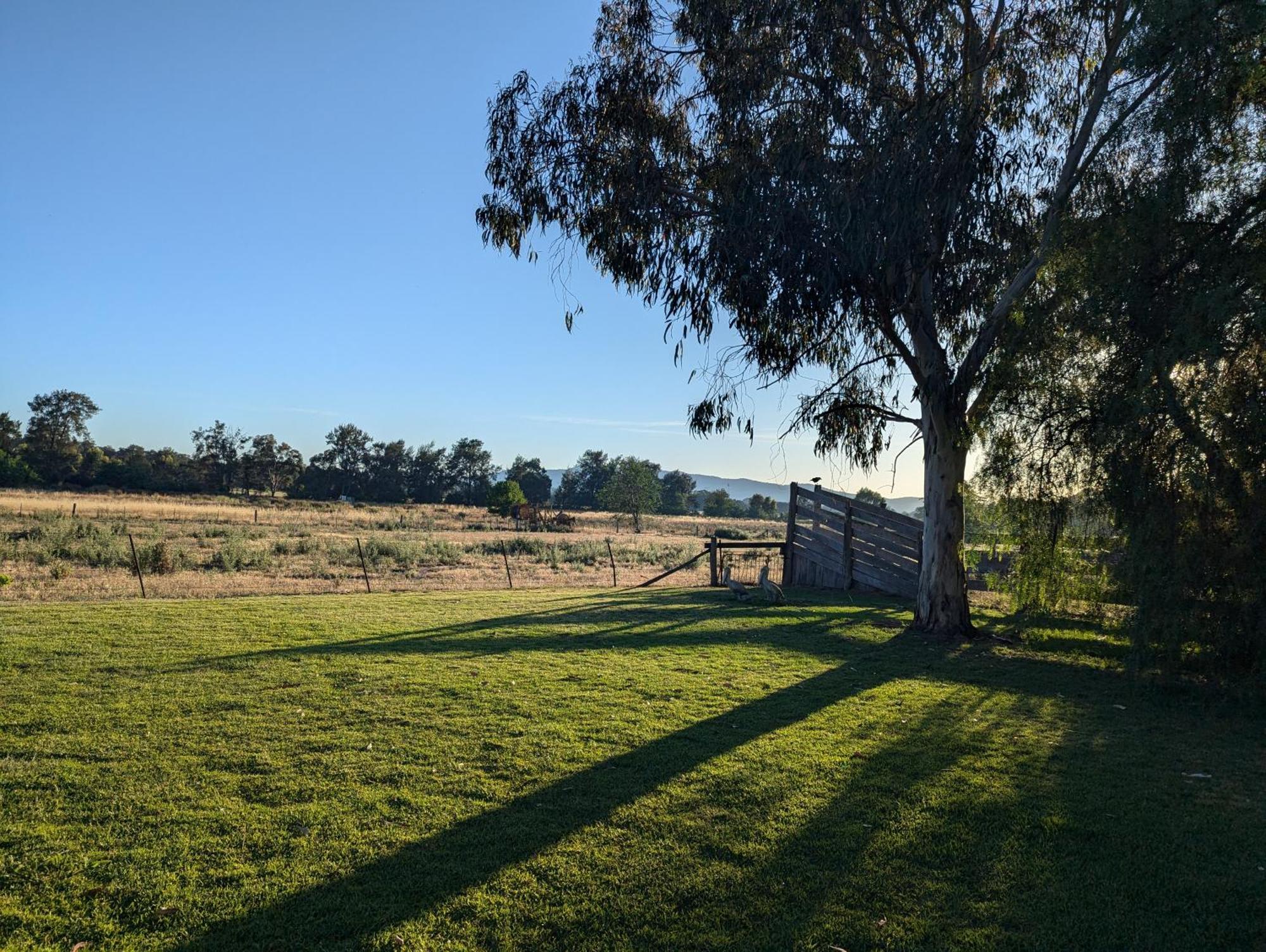 Cudgegong Valley Motel Mudgee Kültér fotó