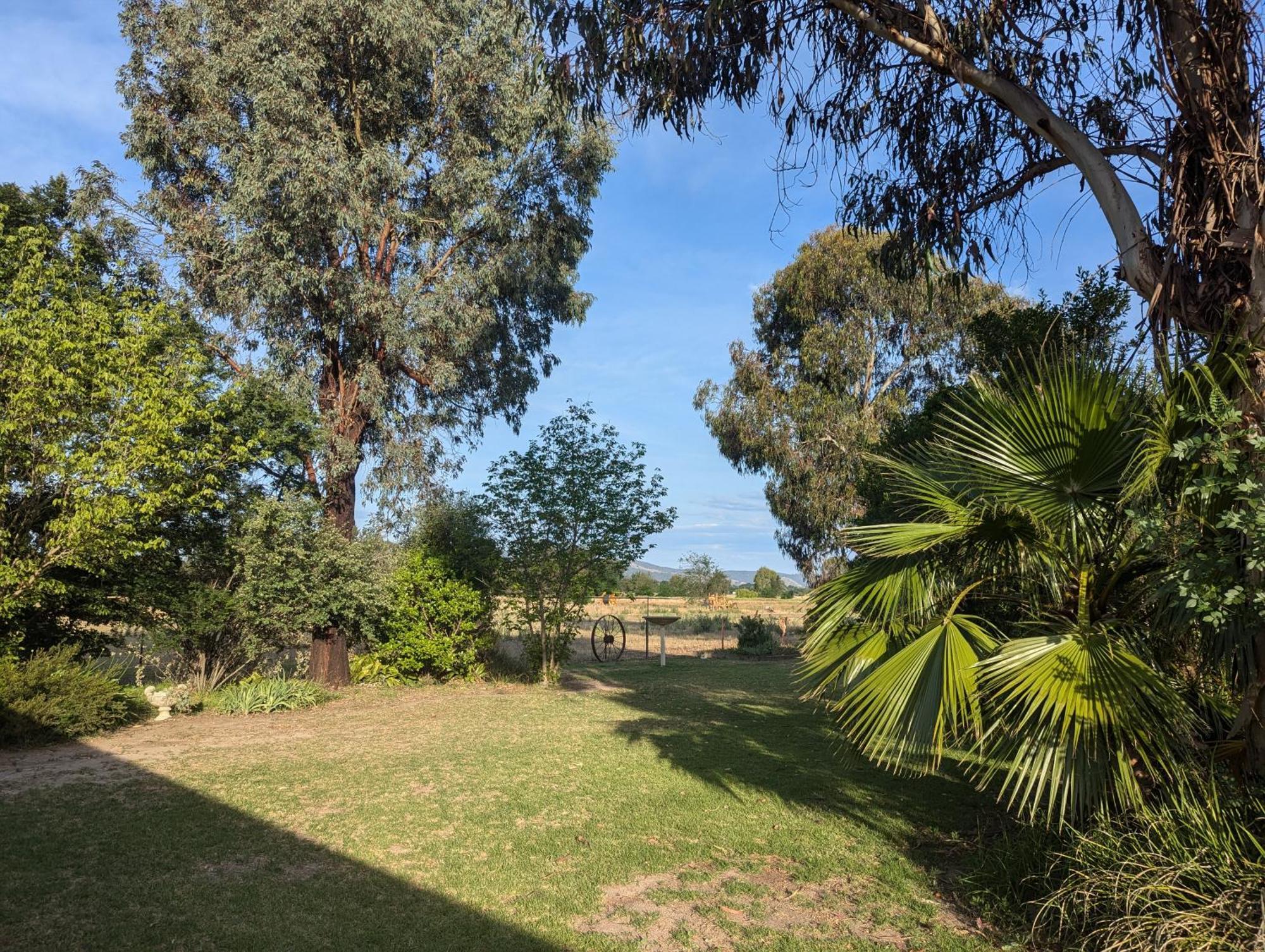 Cudgegong Valley Motel Mudgee Kültér fotó